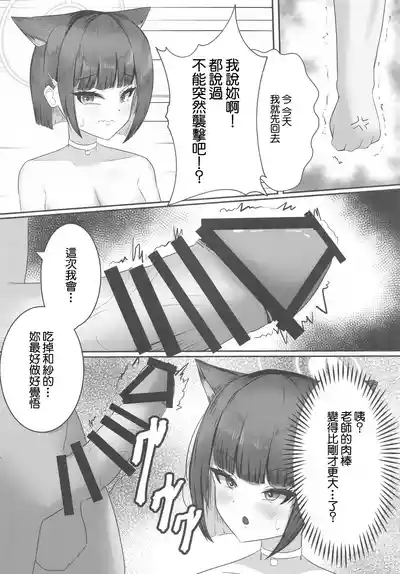 第13页图
