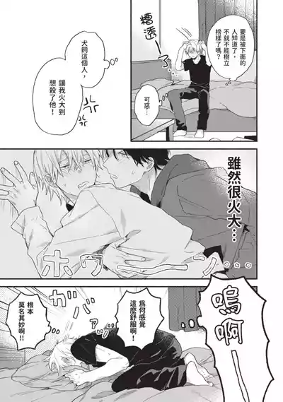 第41頁圖
