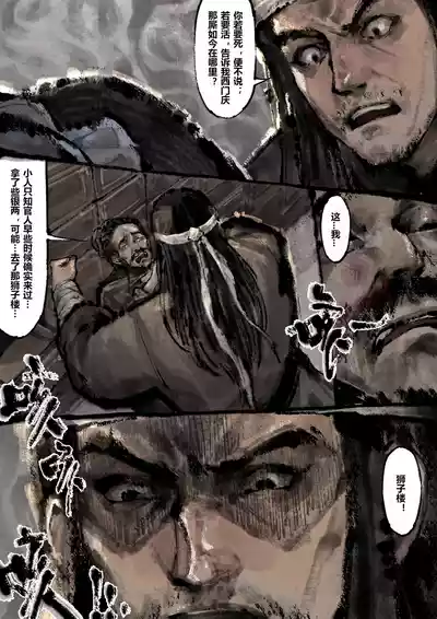 第213页图