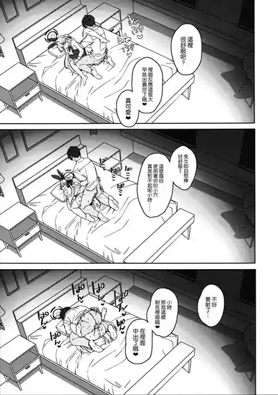第13頁圖