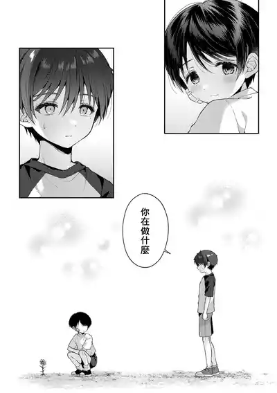 第33页图