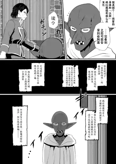 第213頁圖