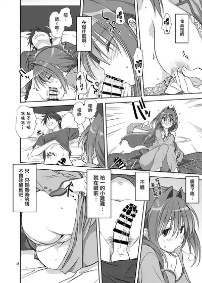 第17页图