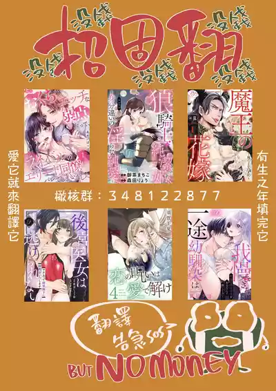第381頁圖