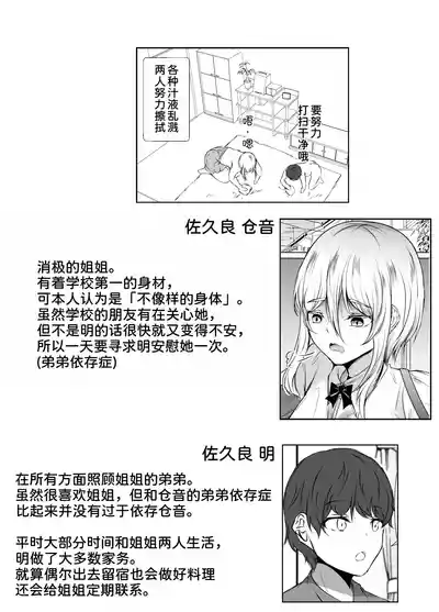 第13页图