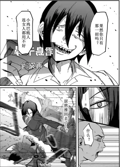 第33页图
