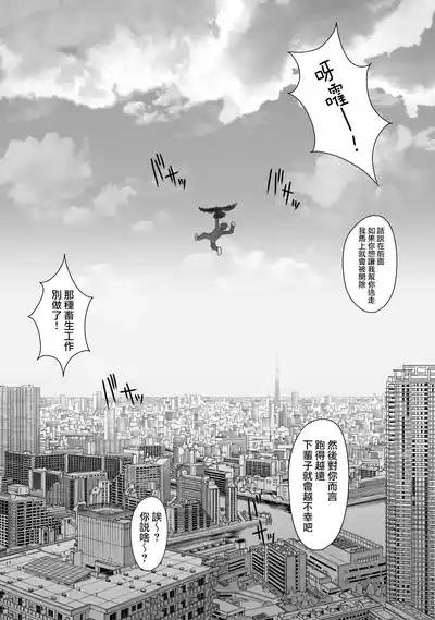 第117頁圖