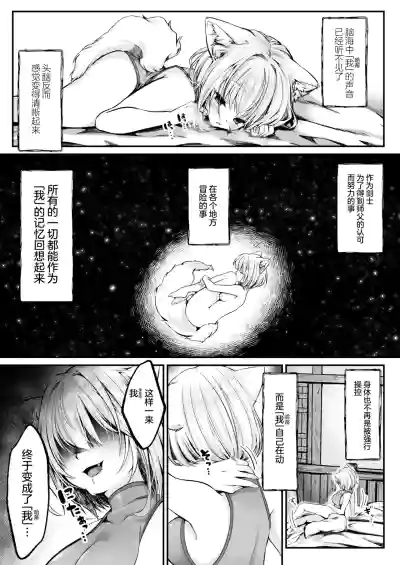 第17页图