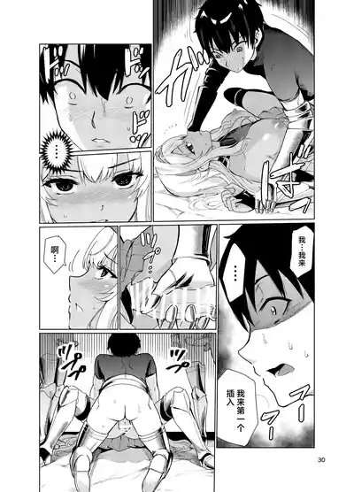 第29頁圖