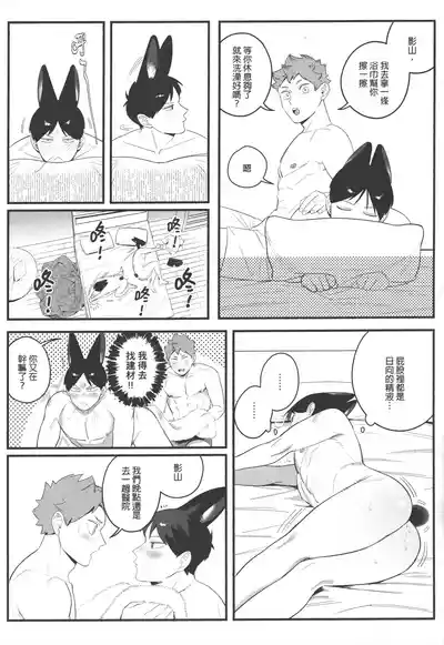 第17頁圖
