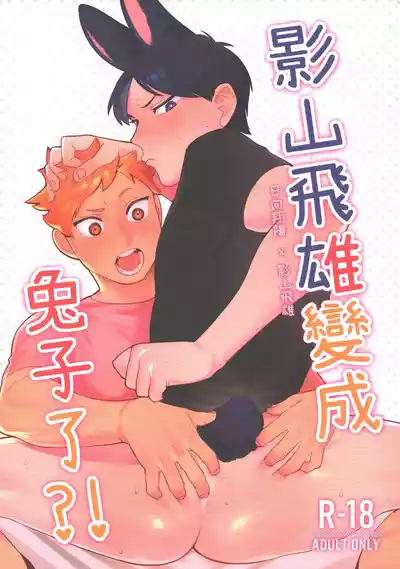 第1頁圖