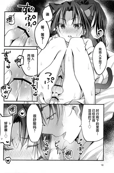 第17页图
