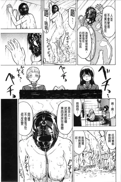 第33页图