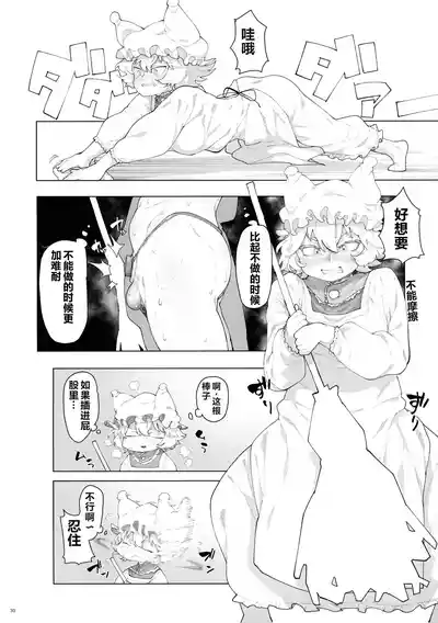 第29页图