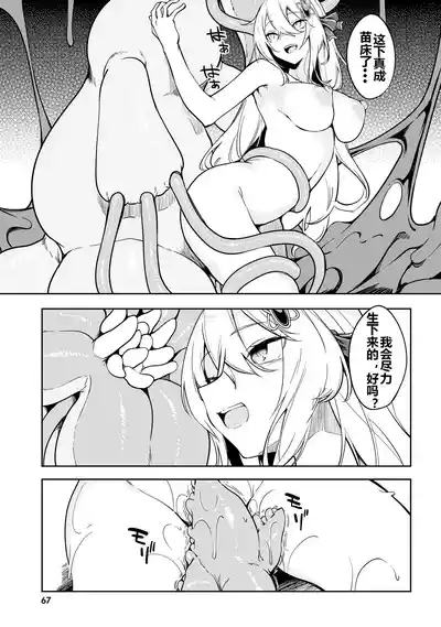 第69頁圖