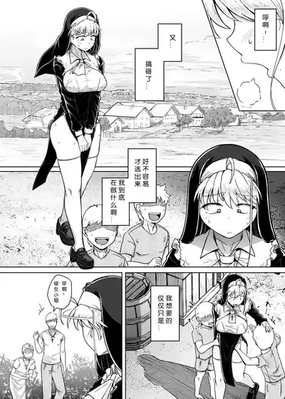 第17页图
