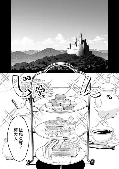 第5页图