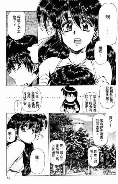 第65頁圖