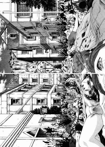 第153頁圖