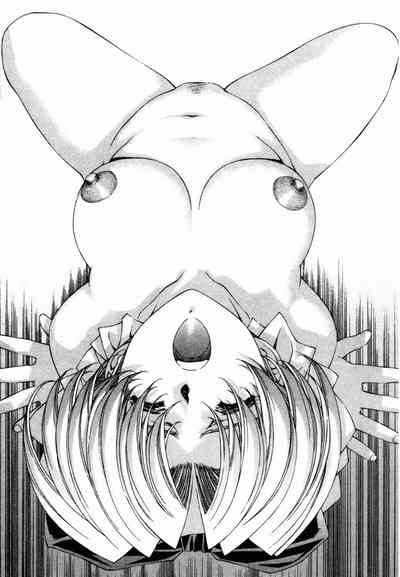 第213頁圖