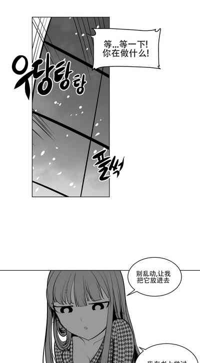 第217頁圖