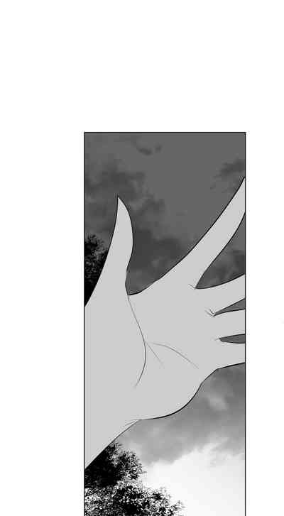 第337頁圖