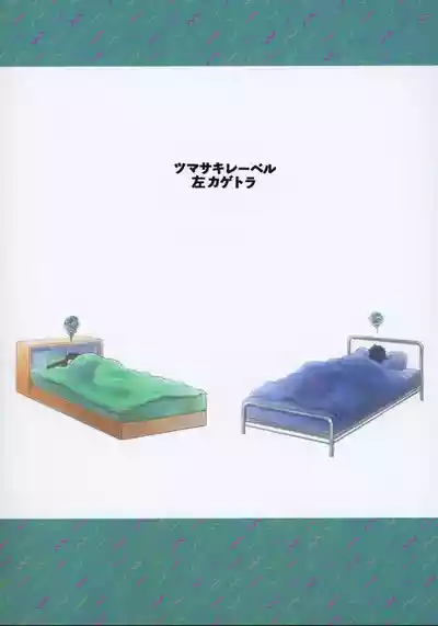 第33頁圖