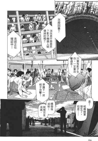 第185頁圖