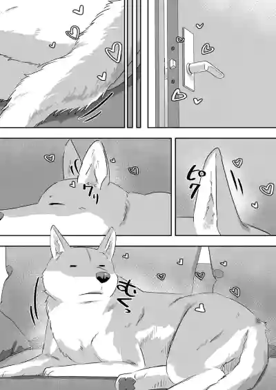 第13頁圖