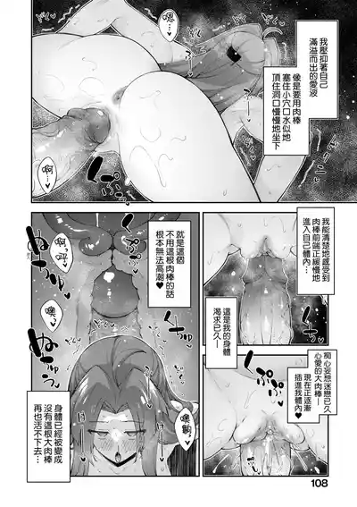 第113頁圖