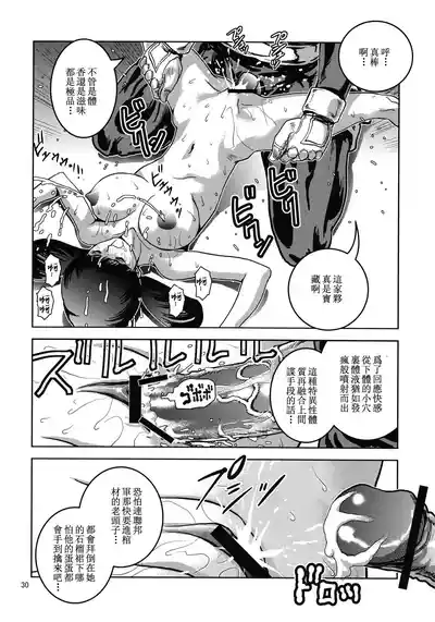 第29頁圖