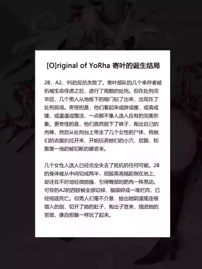 第113页图