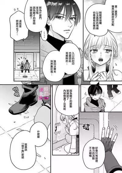 第241頁圖