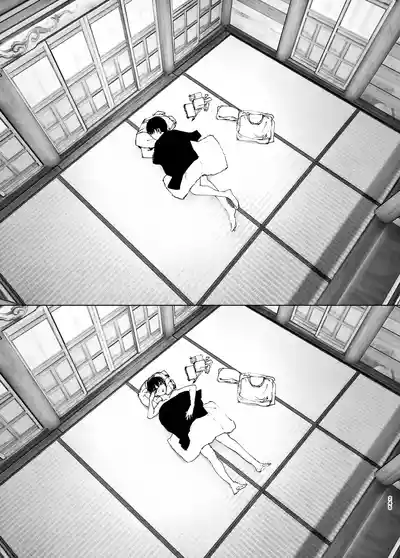 第245頁圖