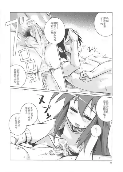 第17页图