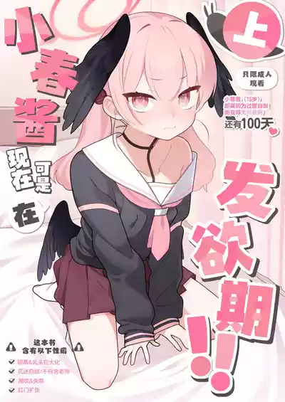 第1页图
