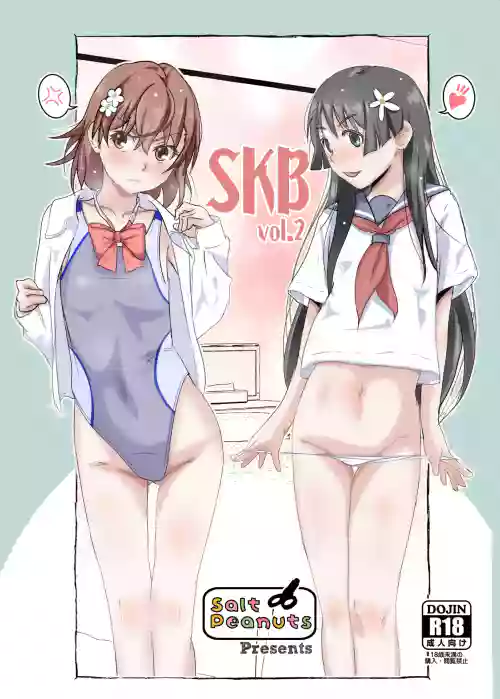 SKB vol.2图