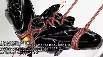 第29頁圖