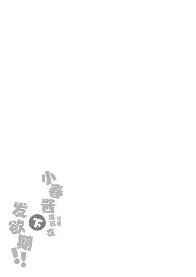 第13页图