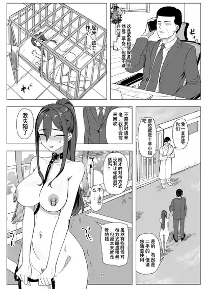 第33頁圖