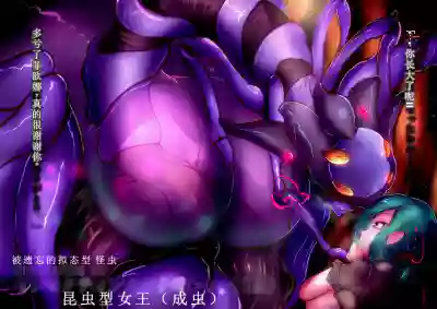 第29頁圖