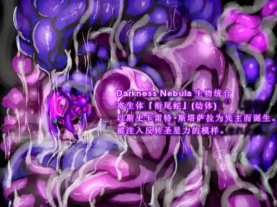 第33頁圖
