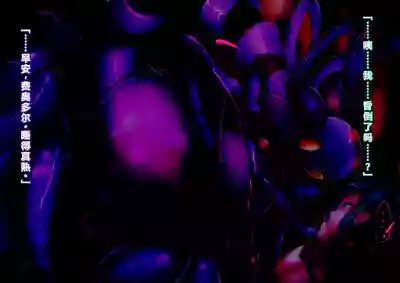 第29頁圖