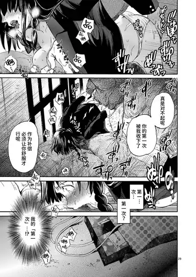 第29页图