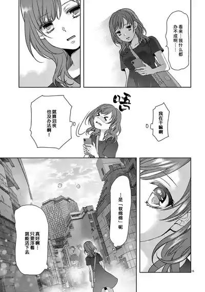 第17页图