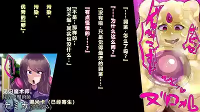 第41頁圖