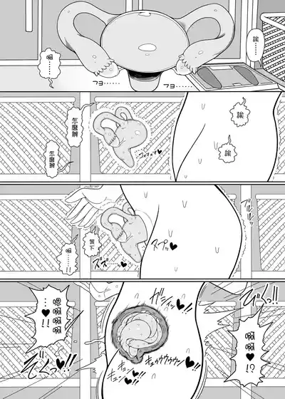 第13頁 封面 - HaSM.cc