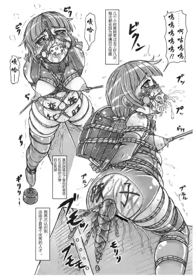 第17页 封面 - HaSM.cc