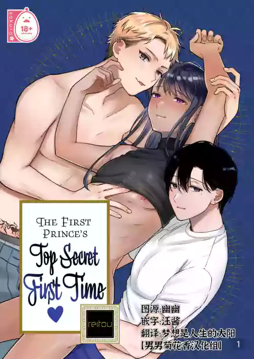 The First Prince's Top Secret First Time 封面 - HaSM.cc