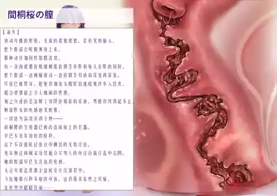 第21页 封面 - HaSM.cc
